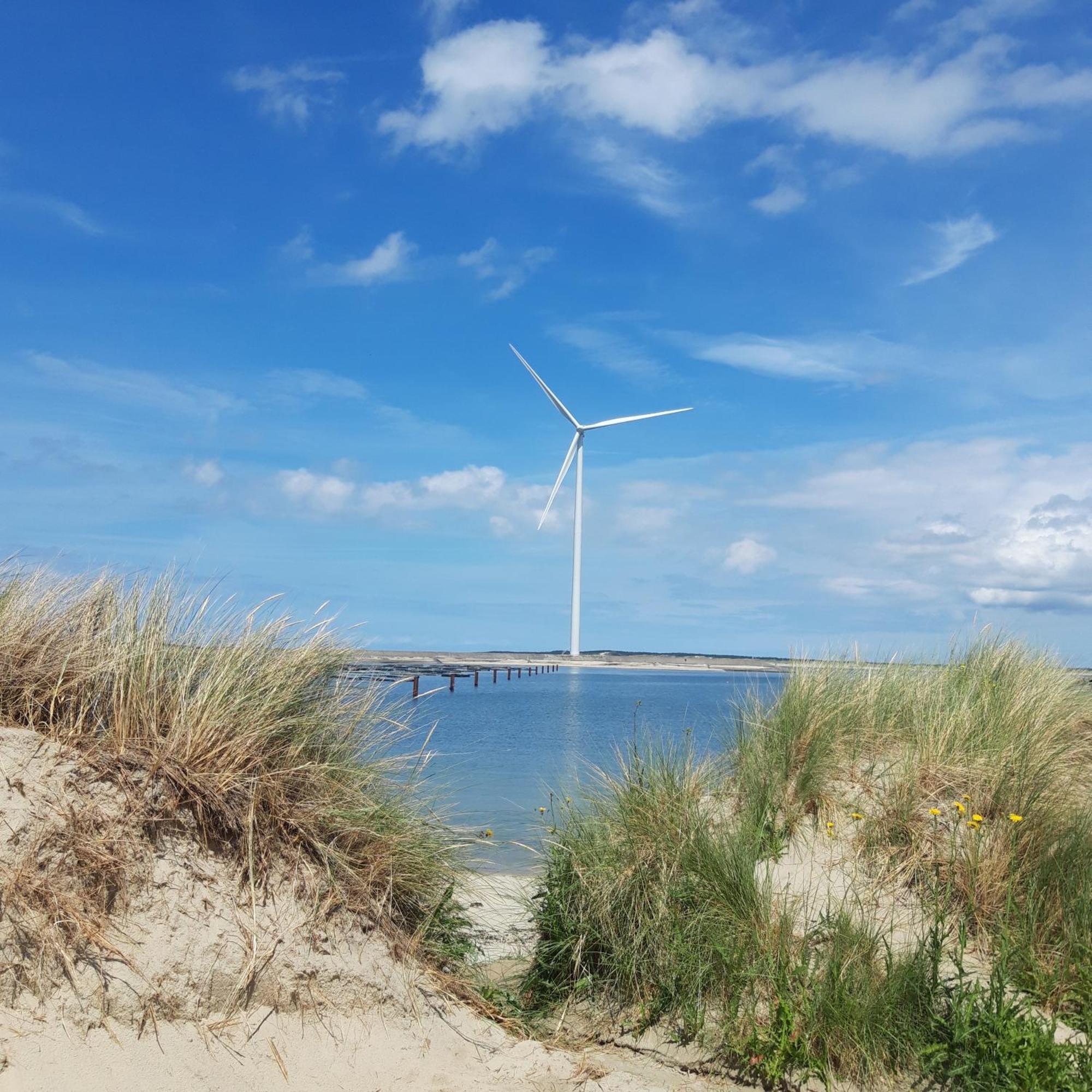 Slapen Aan De Voet Van De Molen Ovezande Bagian luar foto
